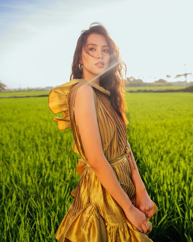 hoa hau tieu vy dep la trong buoi sang binh di den nao long o hoi an