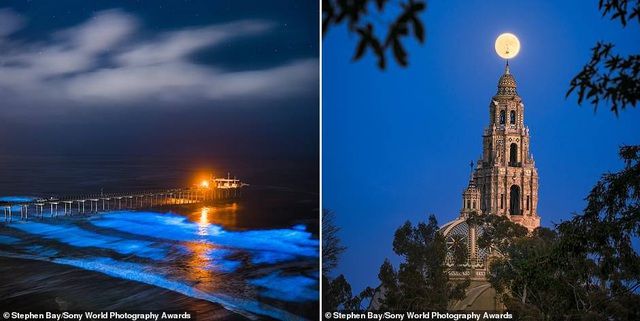 anh phoi ca cua viet nam lot top anh dep tai giai anh quoc te