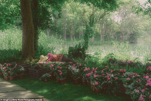 anh phoi ca cua viet nam lot top anh dep tai giai anh quoc te