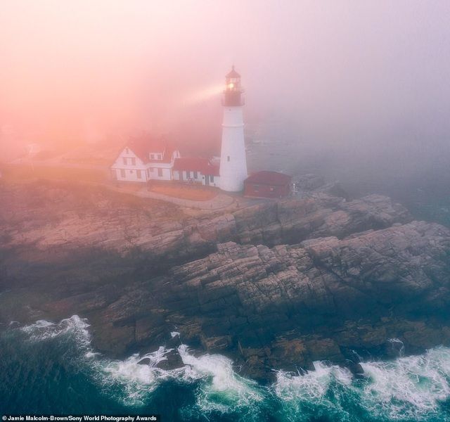 anh phoi ca cua viet nam lot top anh dep tai giai anh quoc te