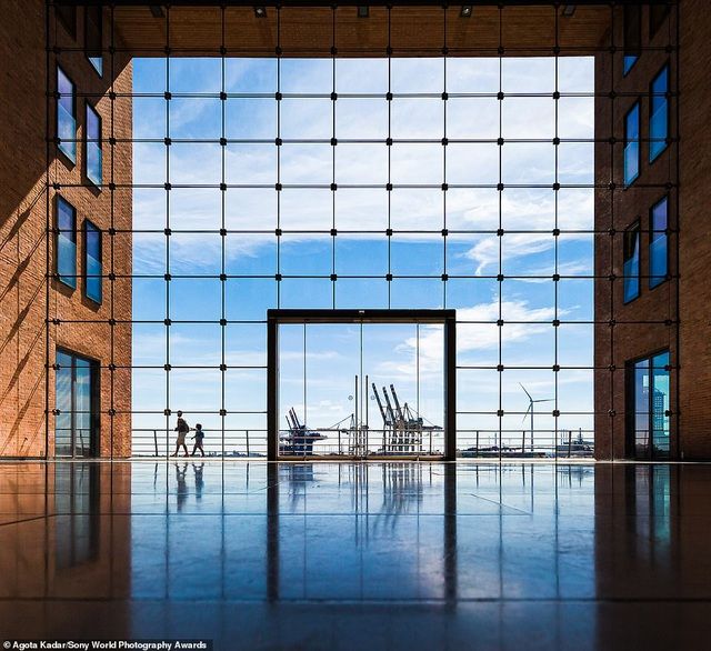 anh phoi ca cua viet nam lot top anh dep tai giai anh quoc te