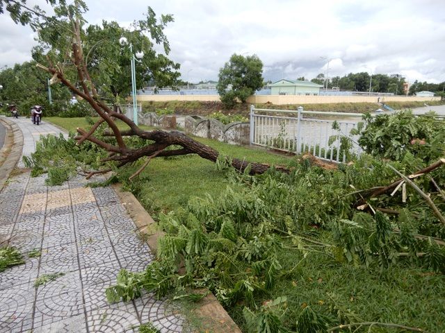 Tin tức bão mới nhất Ảnh hưởng của bão số 5 cảnh báo mưa dông gió giật mạnh và sóng lớn trên biển tin tuc bao moi nhat anh huong cua bao so 5 canh bao mua dong gio giat manh va song lon tren bien