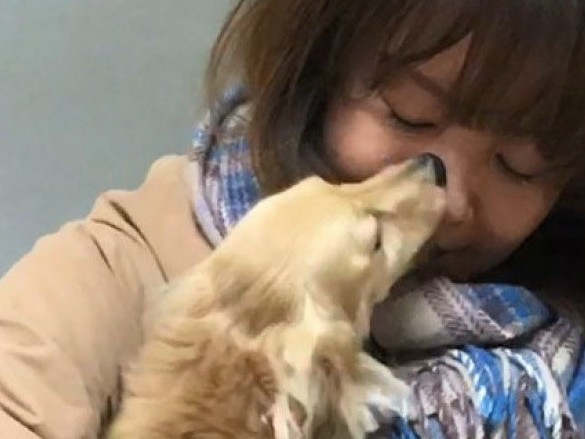 Nghiên cứu mới: Loài chó biết rơi lệ khi biểu thị cảm xúc, đặc biệt lúc gặp lại chủ