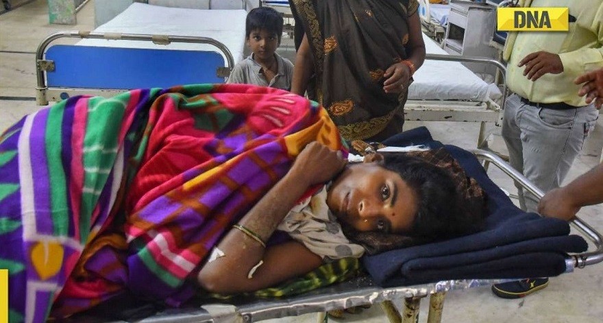 Ấn Độ: Bảo vệ con nhỏ 15 tháng, người mẹ dũng cảm 'đối đầu' hổ dữ