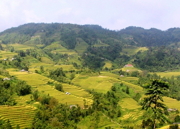 Lễ hội Gầu Tào tôn vinh bản sắc văn hóa dân tộc trên quê hương Hoàng Su Phì Lễ hội Gầu Tào tôn vinh bản sắc văn hóa dân tộc trên quê hương Hoàng Su Phì