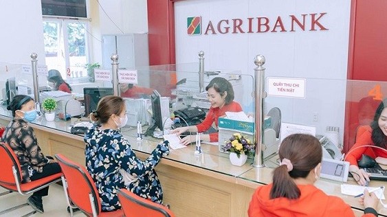 Agribank tiếp sức vốn rẻ, giúp doanh nghiệp nông nghiệp vững vàng 'vượt bão'