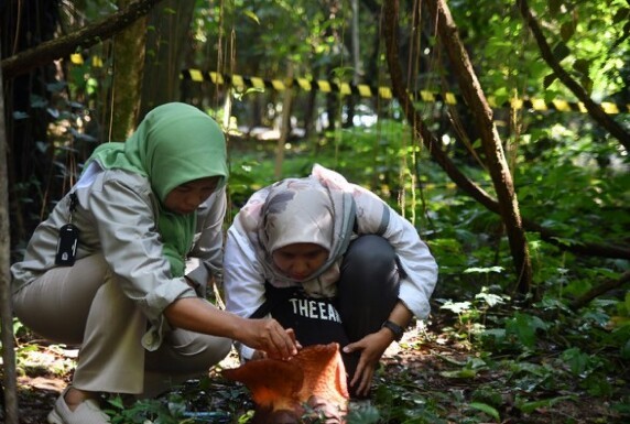 Indonesia: Bông hoa lớn nhất thế giới lần đầu tiên nở trong vườn sinh vật