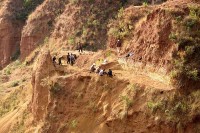 Trung Quốc phát hiện hóa thạch loài vượn lâu đời nhất cách đây 7-8 triệu năm