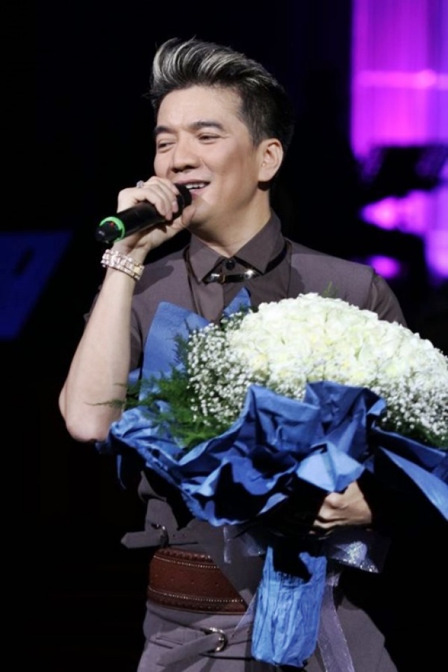 ca si dam vinh hung lot vao danh sach de cu giai mtv ema