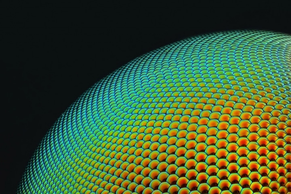 the gioi dep ngo ngang duoi ong kinh hien vi dien tu