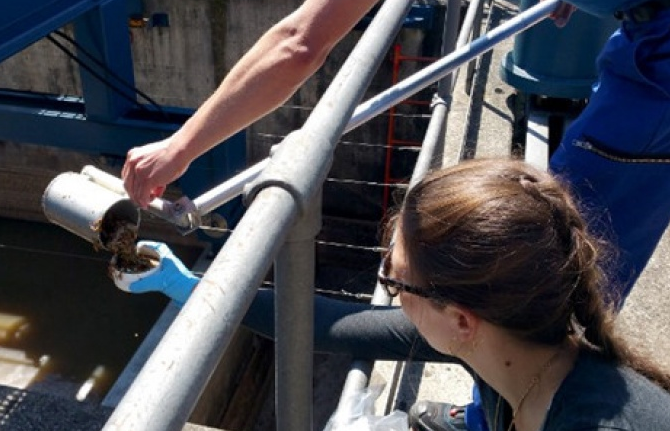 Thụy Sỹ: Phát hiện 43 kg vàng trong nhà máy chất thải