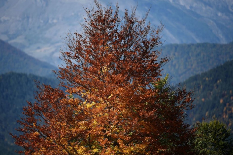 sac thu dep nao long o nhieu noi tren the gioi