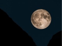 ngac nhien truoc nhung khoanh khac trung hop kho tin trong cuoc song