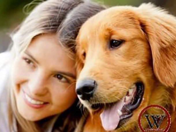 9 lợi ích sức khoẻ không ngờ khi nuôi chó