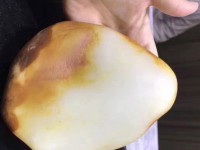 vien ngoc trai co nhat the gioi trung bay tai abu dhabi