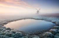 can canh dan tuan loc chan tha tu do duy nhat o vuong quoc anh