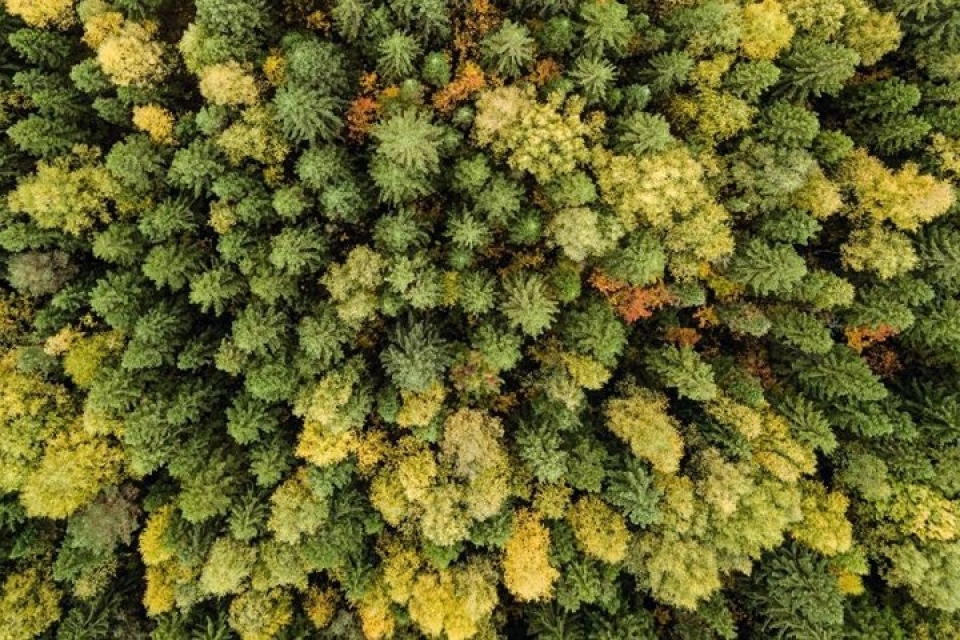 thang 10 ve ngam ve dep me ly cua mua thu nuoc nga