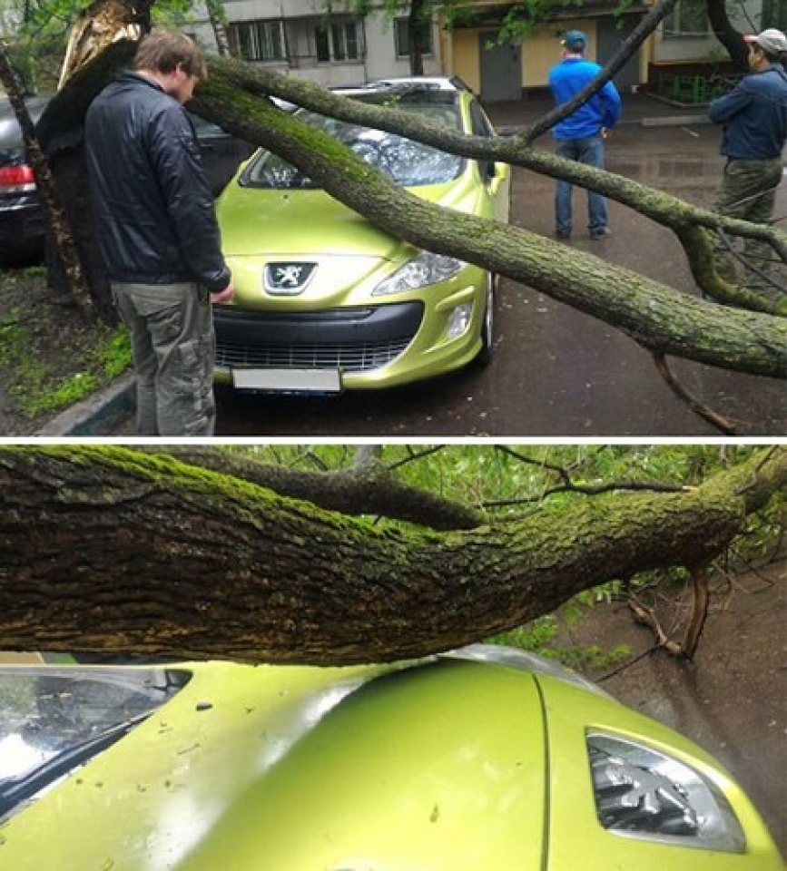 Bất ngờ trước những khoảnh khắc trùng hợp đến khó tin trong cuộc sống bat ngo truoc nhung khoanh khac trung hop den kho tin trong cuoc song