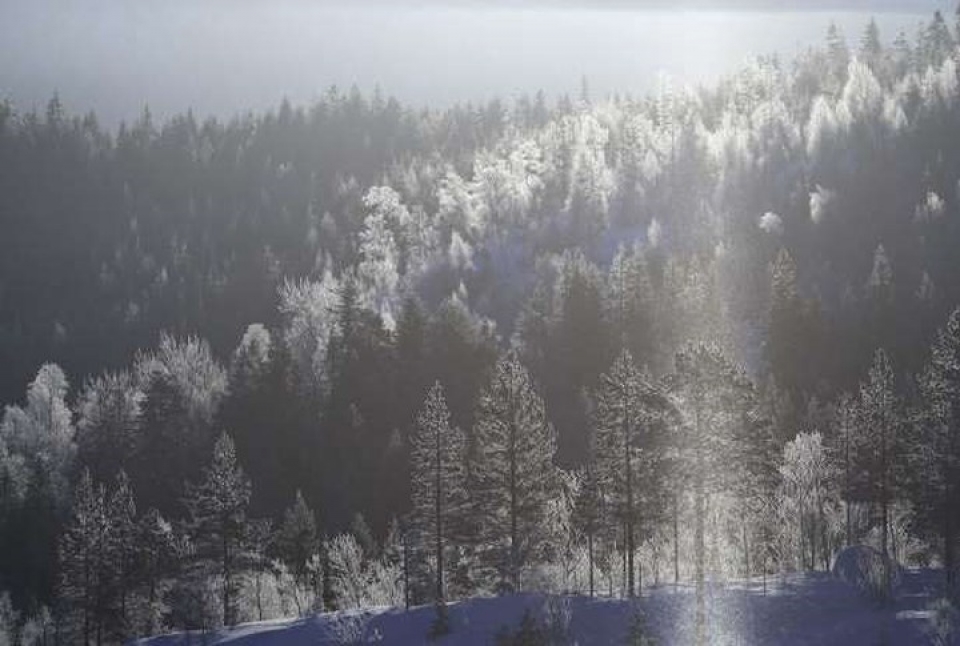 nhung hien tuong thoi tiet ky thu hiem gap