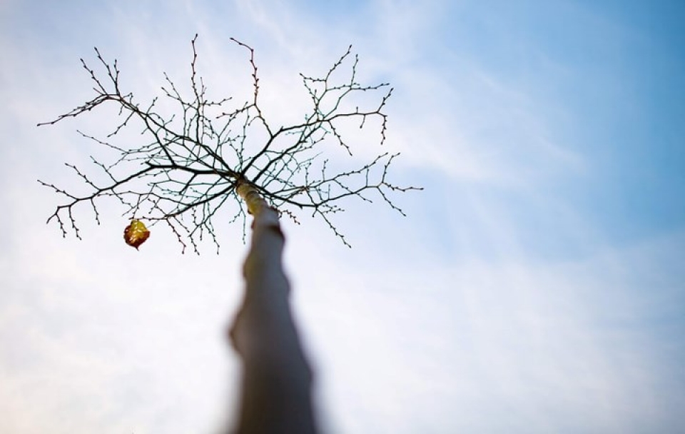 thien nhien hoang da tuyet dep qua nhung buc anh