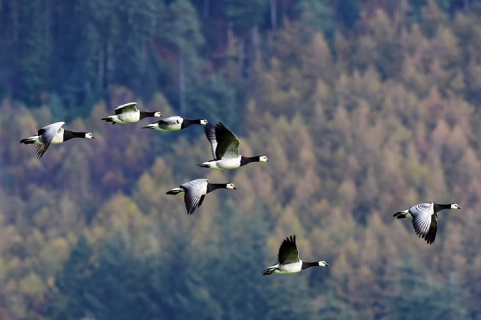 thien nhien hoang da tuyet dep qua nhung buc anh