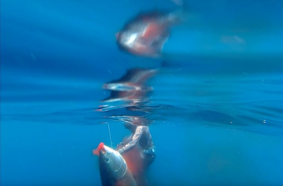 thien nhien hoang da tuyet dep qua nhung buc anh