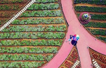 Những góc ảnh đẹp của nhiếp ảnh gia Việt Nam tại giải ảnh quốc tế