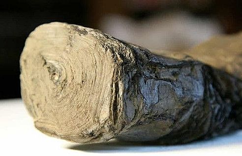 Giải mã cuộn giấy cổ ở núi lửa Vesuvius bằng công nghệ mới và trí tuệ nhân tạo