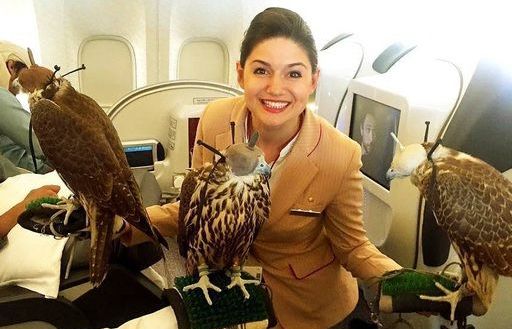 Những điều xa xỉ 'không thể tin được' chỉ có thể tìm thấy ở Dubai