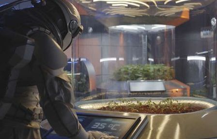 Đất trên sao Hỏa và Mặt trăng có thể trồng được cây