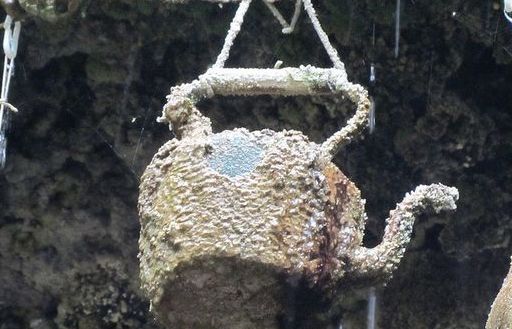 Giếng nước kỳ lạ khiến vạn vật …. hóa đá