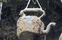 Giếng nước kỳ lạ khiến vạn vật …. hóa đá