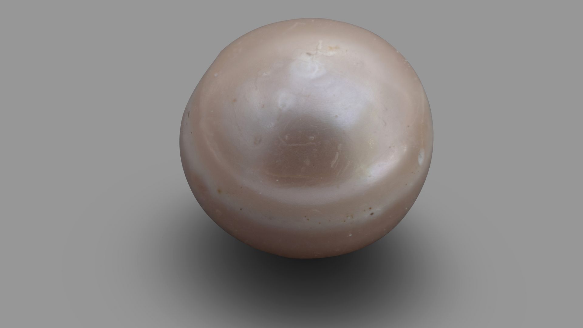 Trưng bày viên ngọc trai cổ nhất thế giới tại Abu Dhabi vien ngoc trai co nhat the gioi trung bay tai abu dhabi