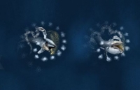 ca voi xanh hat hoi chao dao ca may bay khong nguoi lai