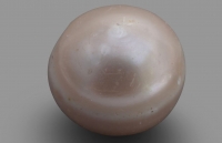 Trưng bày viên ngọc trai cổ nhất thế giới tại Abu Dhabi