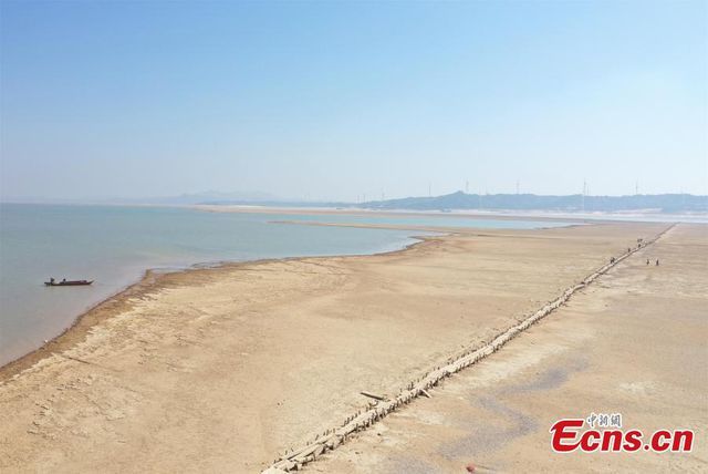 cau da 400 nam tuoi dot ngot lo dien khi nuoc ho ha thap