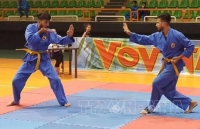 Việt Võ Đạo tỏa sáng ở xứ sở Kim tự tháp