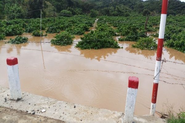 Dự báo thời tiết đêm nay và ngày mai 6 7 10 Trung Bộ Tây Nguyên và Nam Bộ nhiều mây mưa to đến rất to Bắc Bộ trưa chiều hửng nắng du bao thoi tiet dem nay va ngay mai 6 710 trung bo tay nguyen va nam bo nhieu may mua to den rat to bac bo trua chieu hung nang