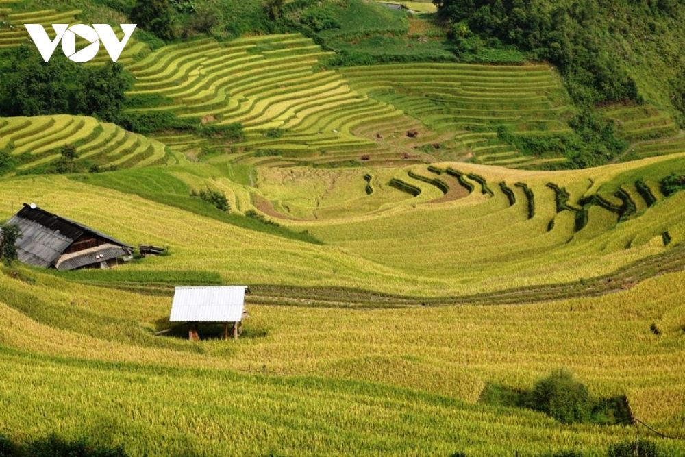 du khach hao hung kham pha mua vang mu cang chai