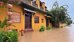 Dự báo thời tiết đêm nay và ngày mai (8-9/10): Bắc Bộ ngày nắng; Trung Bộ mưa lớn diện rộng kéo dài; Tây Nguyên và Nam Bộ mưa to cục bộ