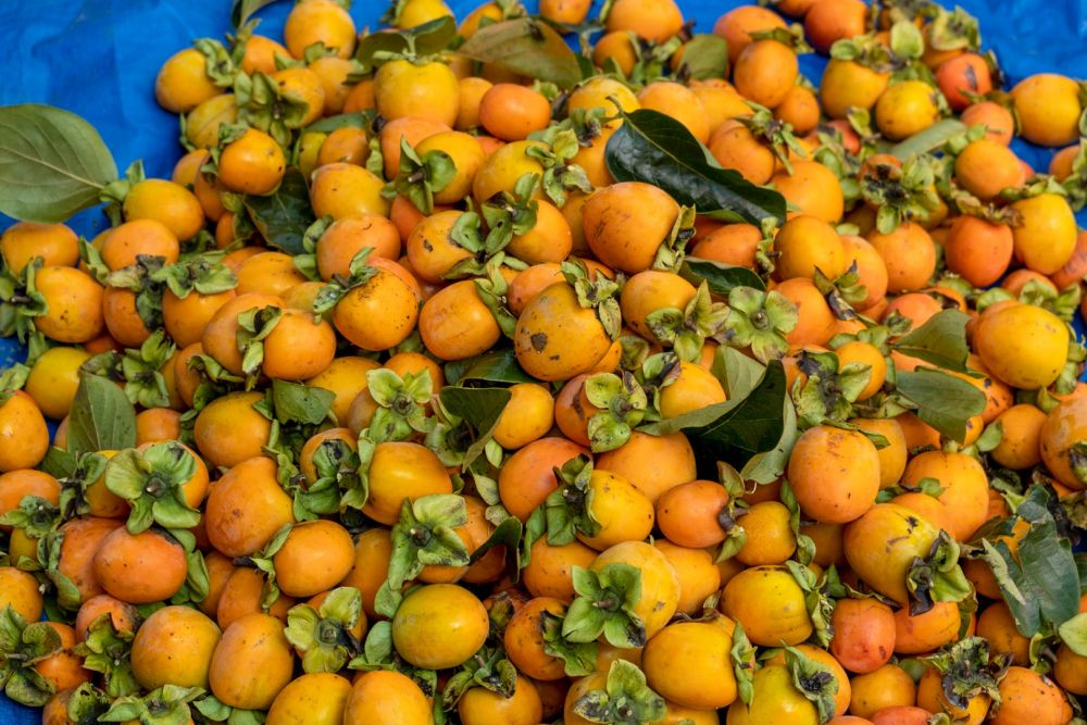 dat lat dep me man mua hong chin du khach di chang no ve