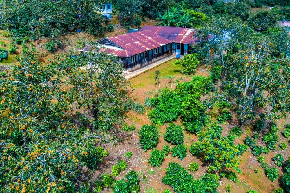 dat lat dep me man mua hong chin du khach di chang no ve