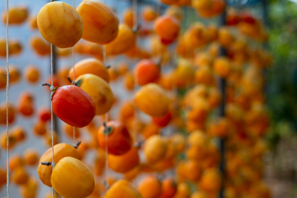 dat lat dep me man mua hong chin du khach di chang no ve