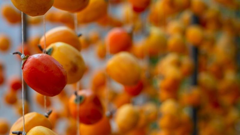 Đà Lạt: Đẹp mê mẩn mùa hồng chín, du khách đi chẳng nỡ về