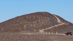 Peru: Phát hiện hình khắc con mèo khổng lồ tại Di sản thế giới Nazca