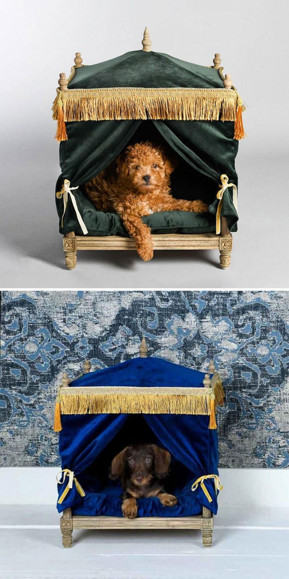 nhung thiet ke giuong nam sang chanh cho thu cung cua ban