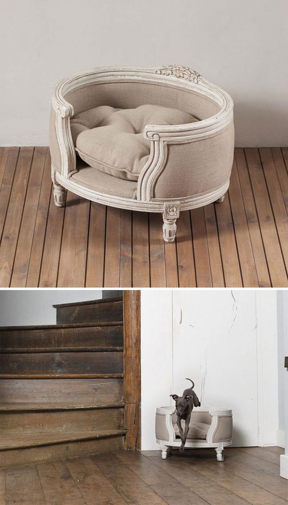 nhung thiet ke giuong nam sang chanh cho thu cung cua ban