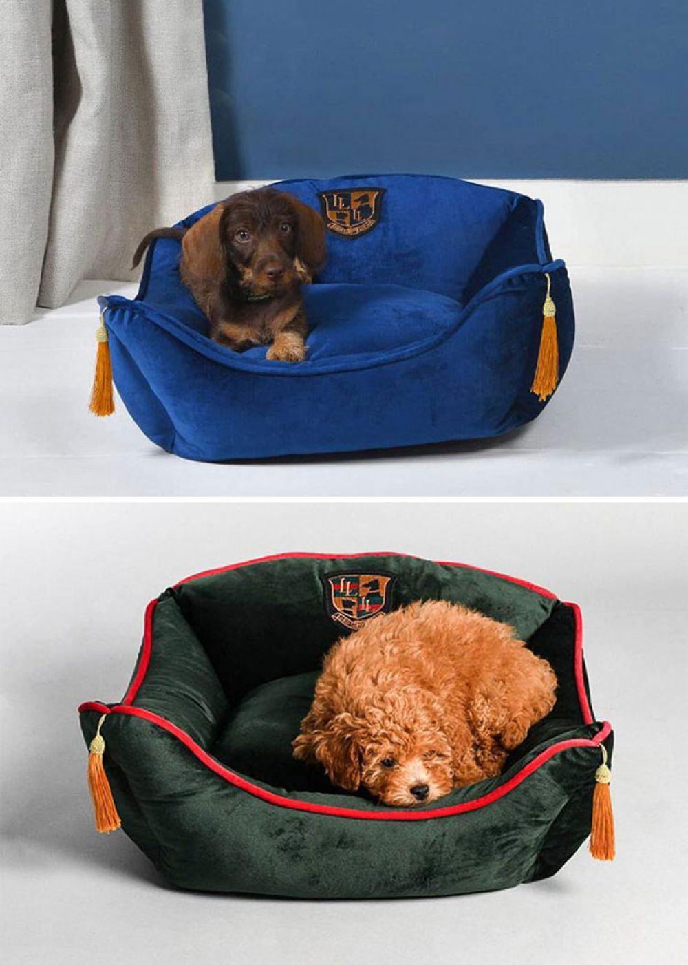 nhung thiet ke giuong nam sang chanh cho thu cung cua ban