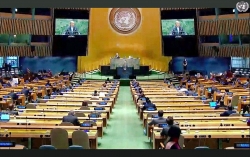 Hiệp ước Cấm vũ khí hạt nhân của LHQ đủ điều kiện có hiệu lực