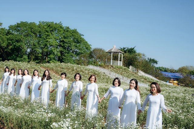 lac vao canh dong cuc hoa mi 3000m2 dep me man o ha noi